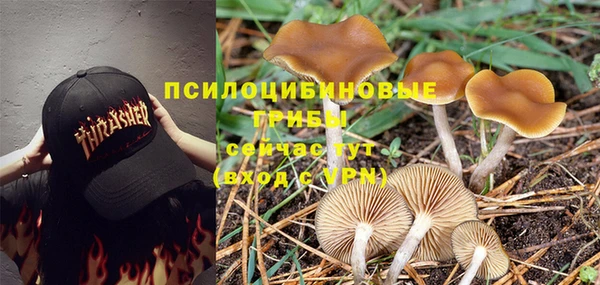 меф Калининец