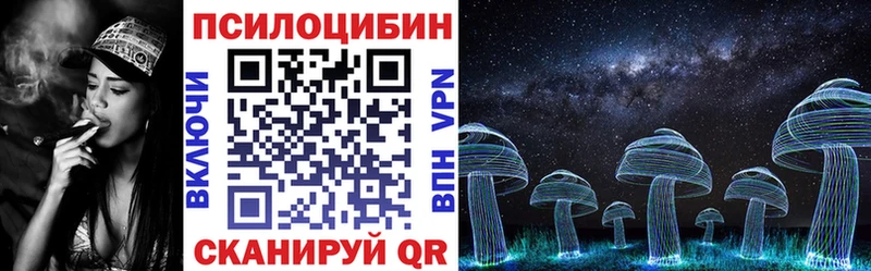 даркнет сайт  Кинешма  Псилоцибиновые грибы Cubensis 