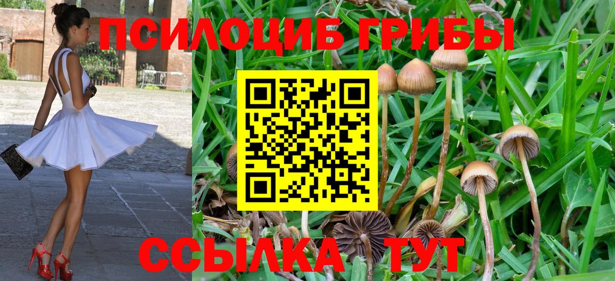 что такое   Галлюциногенные грибы Magic Shrooms  Вход с VPN  Кинешма 