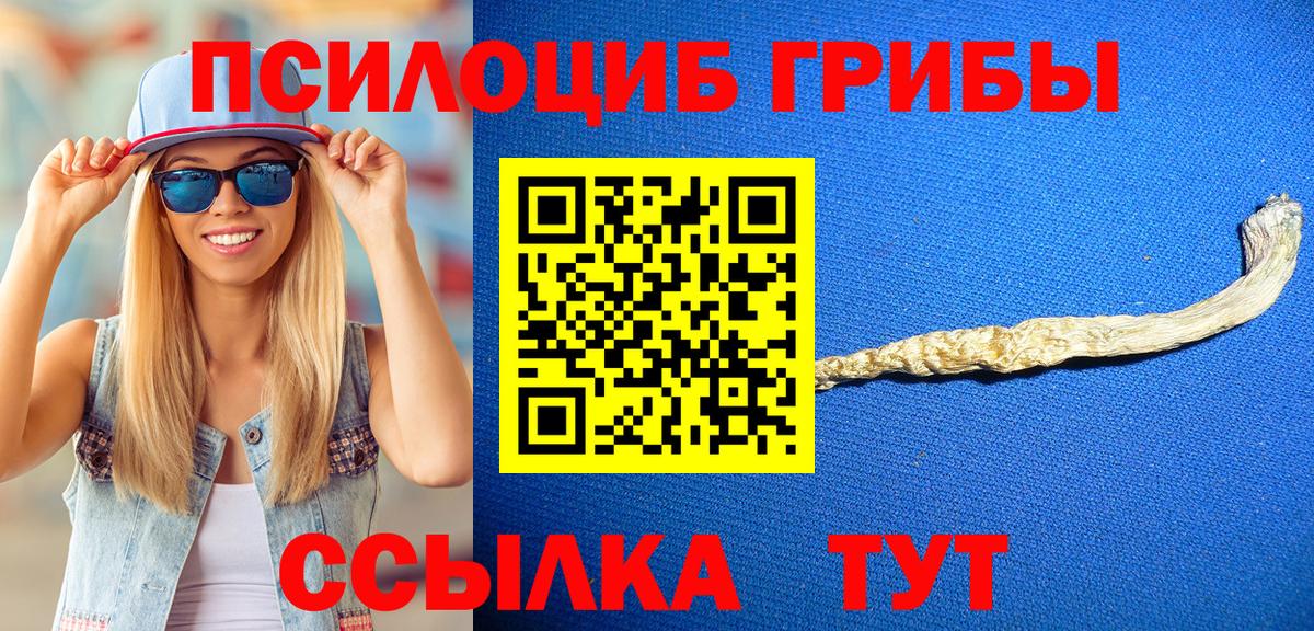Галлюциногенные грибы GOLDEN TEACHER Кинешма